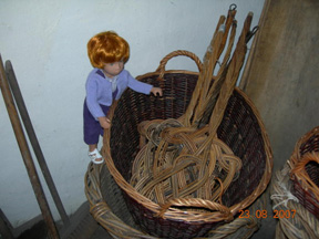 Tilily in Cheshire