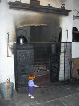 Tilily in Cheshire