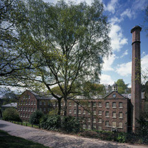 Tilily in Cheshire