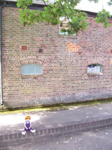 Tilily in Portsmouth